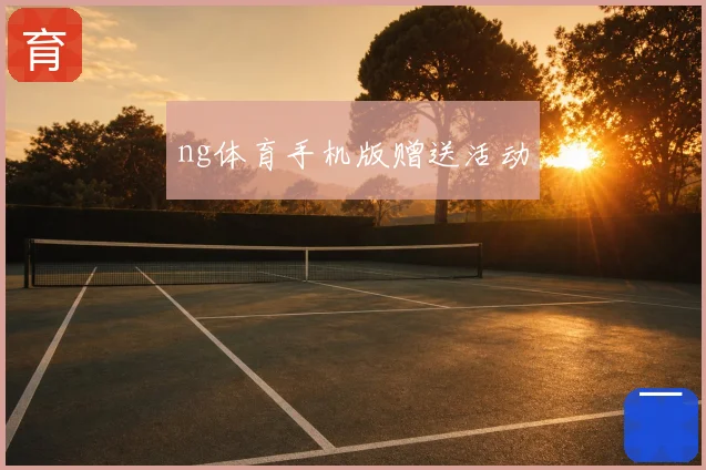 ng体育手机版赠送活动