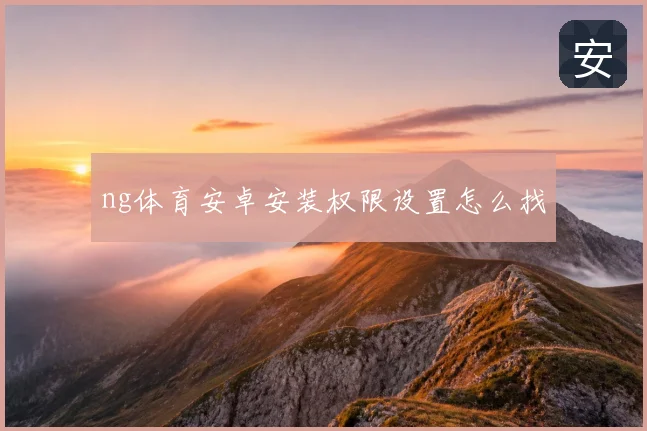 ng体育安卓安装权限设置怎么找