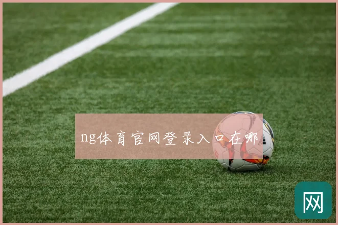 ng体育官网登录入口在哪