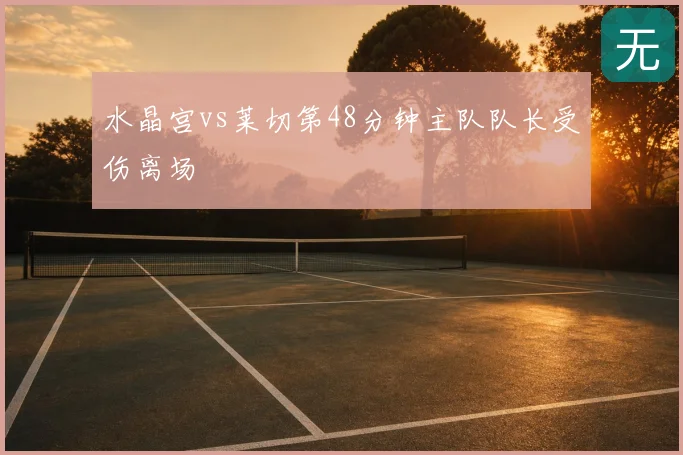 水晶宫vs莱切第48分钟主队队长受伤离场